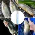 thumbnail image 2 of Huayishang Peeler Electric Fish Scaler Fish Killer Tool Household Fish Scaler Fish Scaler Fish Scaler Blue, Kitchen Essentials Clearance Sale Blue, 2 of 8