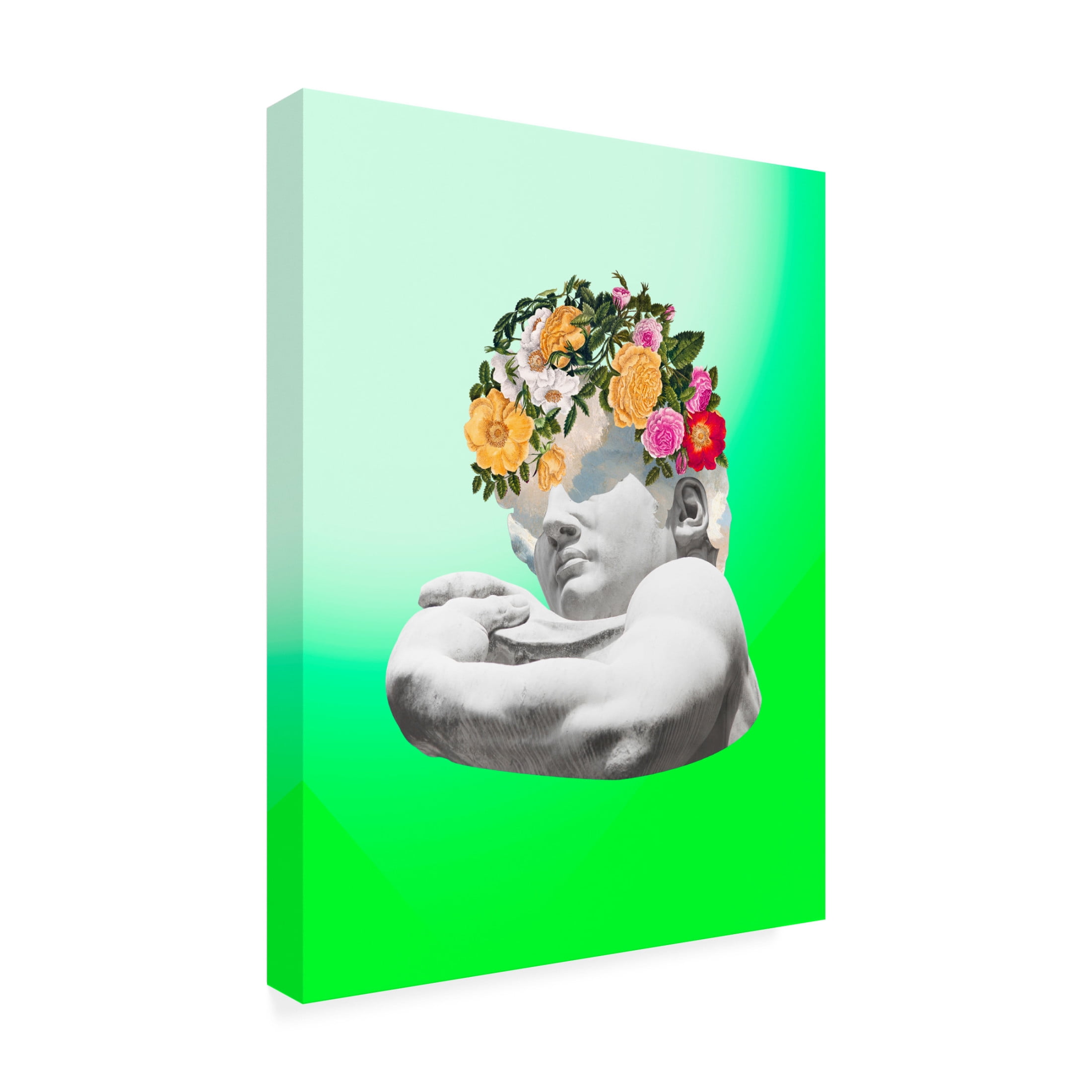 Trademark Fine Art Melissa Wang Renaissance David II Canvas Wall Art