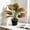 Multicolor-3A, variant on MMJ Artificial Plants with Pot Indoor Simulated Desk Decor Living Room Office Bedroom Home 5.42in Realistic Fake Foliage Maintenance Free No Watering