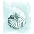 thumbnail image 2 of Meagher, Megan 15x18 White Modern Wood Framed Museum Art Print Titled - Coastal Shell Schematic II, 2 of 4