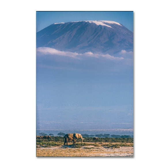 Trademark Fine Art 'Kilimanjaro And The Quiet Sentinels' Canvas Art by Jeffrey C. Sink