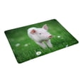 thumbnail image 2 of MKHERT Young Pig on a Spring Green Grass Cute Animal Doormat Rug Home Decor Floor Mat Bath Mat 23.6x15.7 inch, 2 of 3