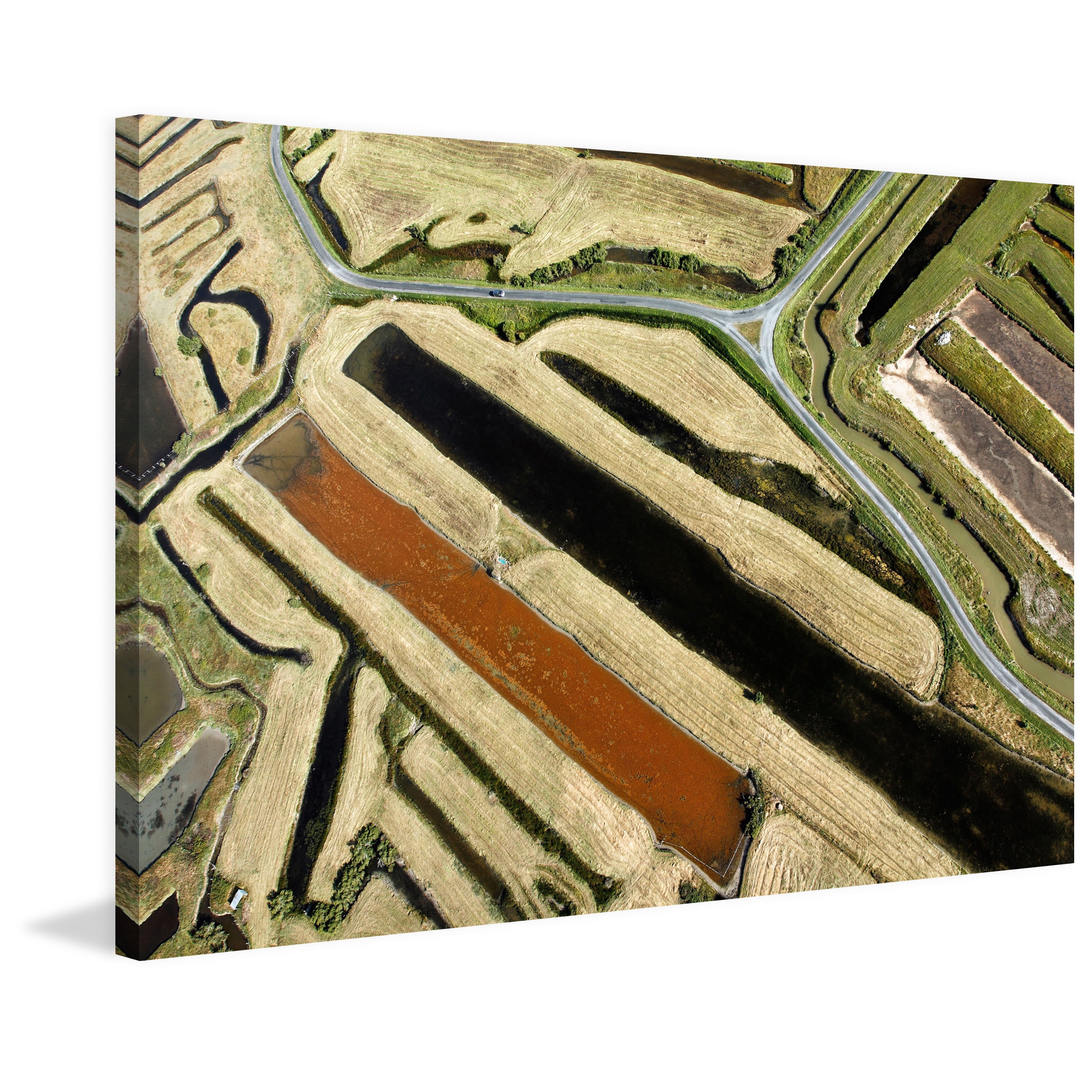 Marmont Hill "Green Paths" Painting Print on Wrapped Canvas
