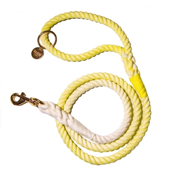 <new_title>Braided Ombre Dog Leash, Sunshine Yellow</new_title>