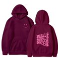 thumbnail image 1 of Sudadera con capucha de gran tamaño para hombre y mujer, suéter con estampado de letras y paredes sonrientes, abrigo informal Unisex, estilo Harajuku, Y2k, Invierno xuanjing  unisex, 1 of 2