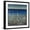 Black Frame, variant on Art.com Shoreline Flowers II Giclee Print by Tim O'toole, 16" x 16"