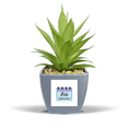 thumbnail image 1 of Pot de Fleurs Ananas Artificiel pour la Journée Internationale de l'Alphabétisme, Décoration Mini, 1 of 3