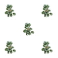 thumbnail image 1 of Cateissary Hermosas plantas de terrario - Naturaleza en interiores Sin necesidad de riego Plantas Decoraciones artificiales Hoja de pavo real Type2 NO2, 1 of 6