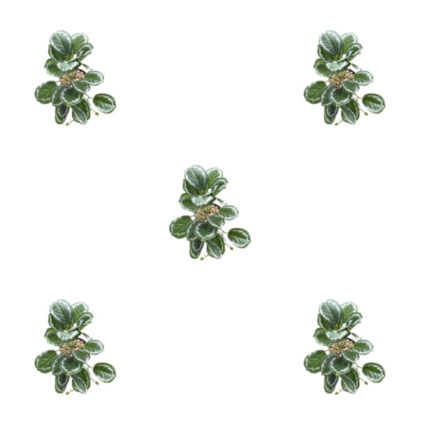 Naiovety Hojas artificiales de plástico ABS, amigables con la piel y seguras para reptiles Plantas degradables Hoja de pavo real artificial Type2 NO2