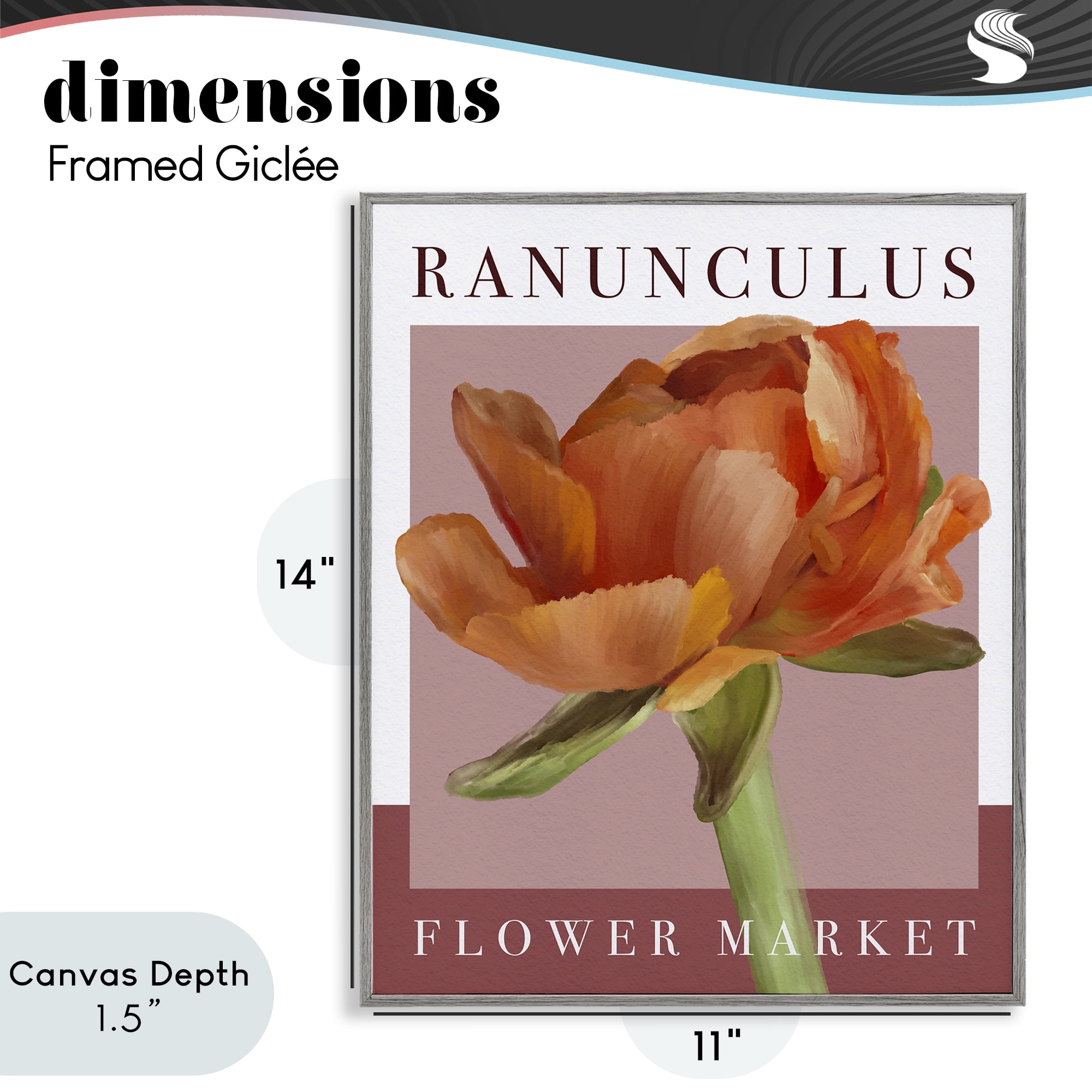 Stupell Industries Ranunculus Flower Market Gray Framed Giclee Art, design by Jennifer Stith