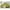 Green, variant on Linen Futon Sofa Bed 73.62 Inch Fabric Upholstered Convertible Sofa Bed,Modern 3 Seater Tufted Sofa with Adjustable Backrests and Soild Wood Legs for Living Room, Bedroom, Small Space（Beige）