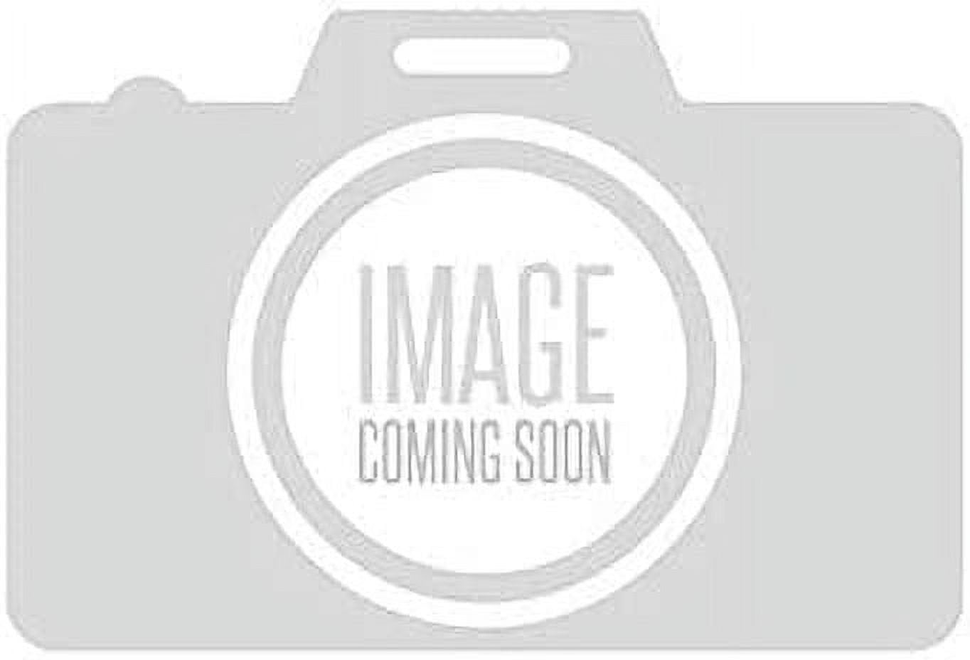 GM Genuine Parts Rear Brake Pad Set