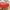 Red, variant on Oval Tablecloth 60 x 84 Inch Washable Fabric Table Cloth Solid White Table Cover for Dining Wedding Party Banquet Tabletop Decoration