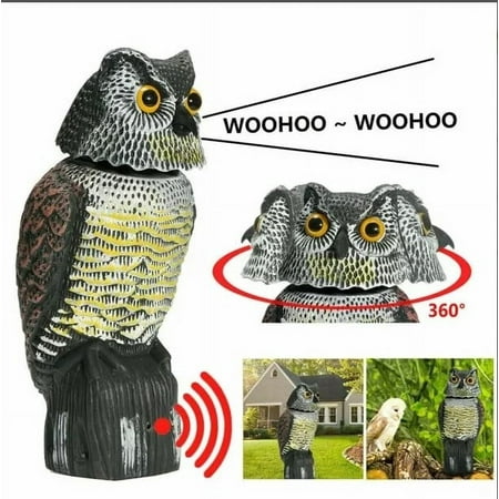 DCOOLMOOGL Owl Decoy Realistic Plastic Scarecrow for Birds Weatherproof