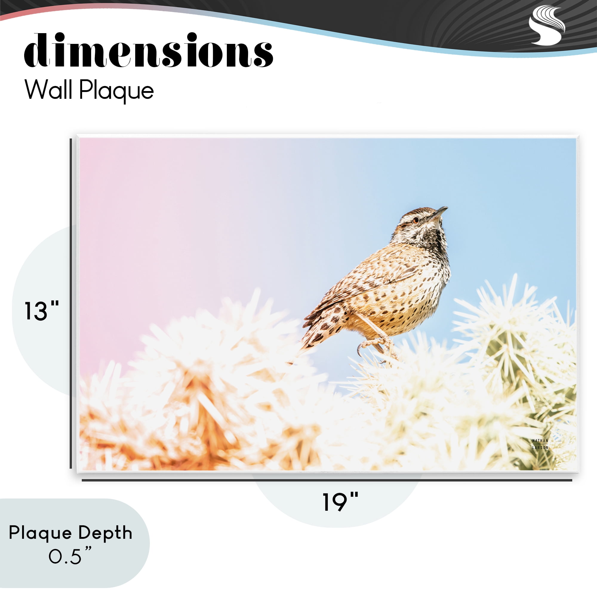 Stupell Industries Desert Song Bird Wall Plaque Art, design by Nathan Larson