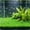 Multicolor-Free Size/D, variant on Dense Artificial Aquarium Grass Mat 60cm Plastic Plant Substrate Green Fish Tank Decor