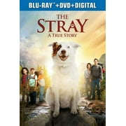 The Stray [Blu-Ray]