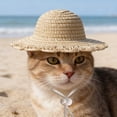 thumbnail image 6 of Pet Cat Sun Hat, Mini Cute Pet Cat Summer Sun Protection Hat, Adjustable Small Dog Beach Cap, Fashion Accessory for Cat Dog Outdoor Daily Activity, 6 of 6
