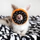 thumbnail image 5 of Juguete para Perro ZippyPaws Donutz Pumpkin Spice de Peluche Sin Relleno, 5 of 8