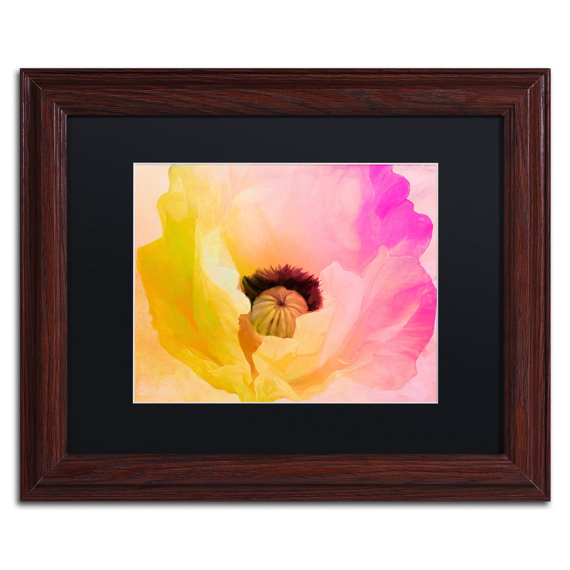 Trademark Fine Art "Poppy Gradient II" Canvas Art by Color Bakery Black Matte, Wood Frame