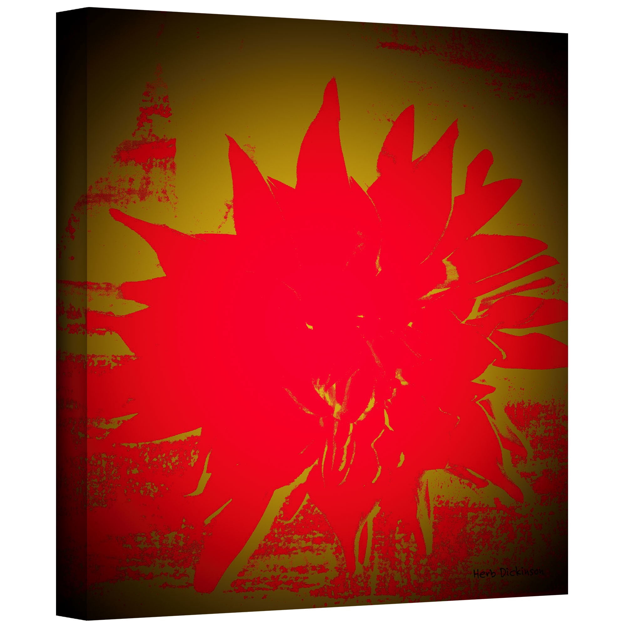 ArtWall Herb Dickinson "Scarlet Splash" Gallery-wrapped Canvas
