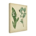 thumbnail image 2 of Trademark Fine Art 'Cottage Florals IV' Canvas Art by Sydenham Edwards, 2 of 4