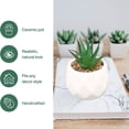 thumbnail image 4 of Plantas en maceta con formas-Decoraciones de oficina plantas en maceta Ormromra CPB-YL619-2, 4 of 5