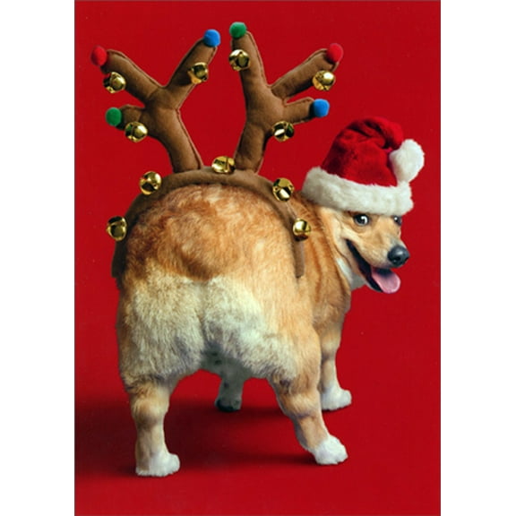 Avanti Press Dog with Reindeer Antlers on Butt Funny / Humorous Christmas Card