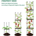 thumbnail image 5 of 2 Pack Garden Trellis and Tomato Cages, Deaunbr Plant Supports Plant Trellis for Climbing Plants Indoor Outdoor, DIY Tomatoes Cage Potted Plant Support Stakes for Vegetable, Rose, Bean, Pots, Clemati, 5 of 6