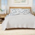 thumbnail image 5 of Coastal Quilt Set - Lightweight, Soft, All-Season - 2-Piece Reversible Bedding Set (Twin / Twin XL, Coastal Fish), 5 of 6