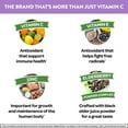 thumbnail image 3 of Airborne 1000mg Vitamin C Immune Support Multivitamin Effervescent Tablets, Elderberry Flavor, 20 ct, 3 of 10