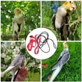 thumbnail image 4 of Outdoor Pet Flying Leash Camping Anti-bite Harnesses Removable Replaceable Hiking Portable Adjustable Small Animal Chest Harness Training Rope Pets Supplies S, 4 of 9
