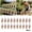 B, variant on 40 Set Nursery Pots with Humidity Dome, Starter Biodegradable Peat Pots for Indoor Outdoor Gardenï¼Bï¼
