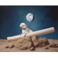 thumbnail image 1 of Cosmic Canine - DIY Diamond Painting, 1 of 6