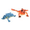 thumbnail image 3 of Conjunto de 12pcs Imitación Modelos de Ranas Plásticas Adornos para Escuela Sunnimix Frog Figures Toy, 3 of 8
