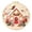 Xmas House, variant on Chritmas Snowman Wool Needle Felting Kits for Beginners, for Home Decoration and Chritmas Gift , Starter Needle Felting with Pad, Needles, Decorative Frame