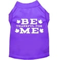 thumbnail image 5 of Thanksgiving Screen Print Pet Shirt, "Be Thankful For Me", 5 of 10