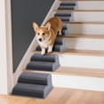 thumbnail image 1 of Lot de 6 Rampes Modulaires pour Chien en 2 Étapes, 1 of 9