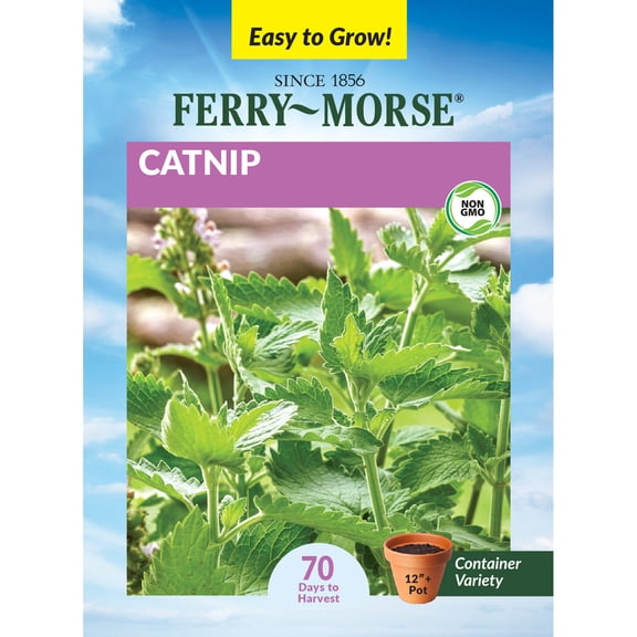 Ferry-Morse Catnip Perennial Herb Seeds - Full Sun - 350 mg