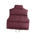 thumbnail image 3 of Girls Puffer Solid Color Vest Winter Sleeveless Quilted Jackets Boys Lightweight Zipper Waistcoat Coat Wine 110, 3 of 3