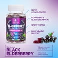 thumbnail image 6 of Elderberry Immune Support Gummies - Powerful Black Elderberry Extract Sambucus Nigra Vitamin Supplement - Natural Daily Immune Support Adults & Kids Ages 4+ Love - Delicious Berry Flavor - 60 Gummies, 6 of 10