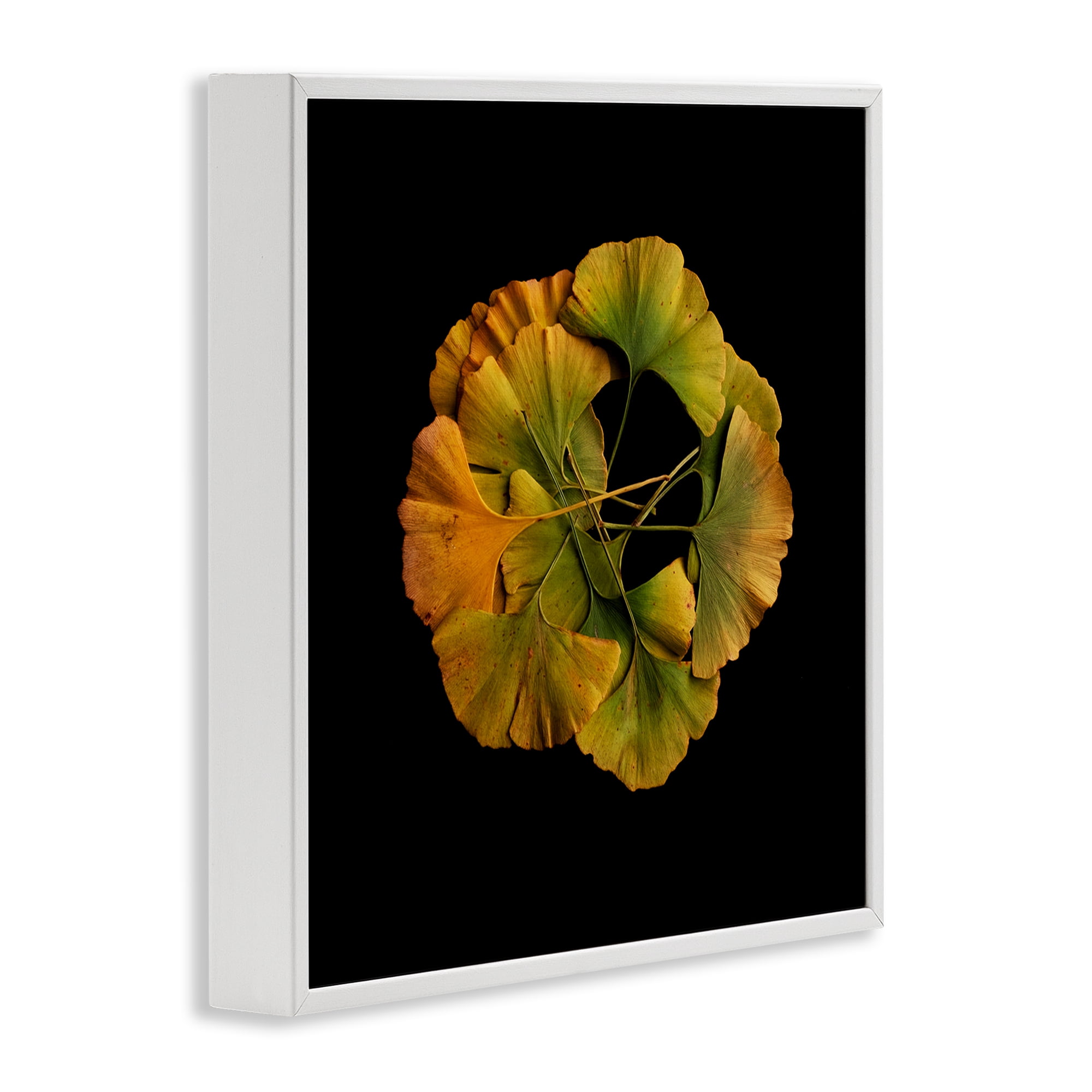 Stupell Industries Overlapping Ginkgo Leaves White Framed Giclee Art, design by Beth Adoette