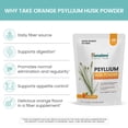 thumbnail image 4 of Suplemento de fibra en polvo de cáscara de psyllium de naranja del Himalaya 340 g, 4 of 8