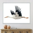 thumbnail image 3 of Designart Flying White Stork Ciconia Bird FLOAT FRAME WALL ART, 3 of 4