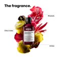thumbnail image 3 of L'Oréal Professionnel Vitamino Color Spectrum Shampoo, 300ml, 3 of 5