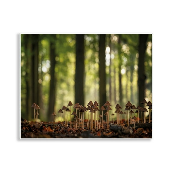 Stupell Industries Mushroom Sprouts in Forest Botanical & Floral Photography Unframed Art Print Wall Art, 14 x 11