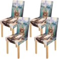 thumbnail image 1 of ABPHQTO Gato esponjoso doméstico brillante tarde soleada funda elástica para silla funda protectora de asiento para comedor Hotel boda fiesta conjunto de 4, 1 of 4
