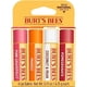 thumbnail image 4 of Burt's Bees Bálsamo Labial Sabor a Frutas - Superfruit Lipbalm - Pack x4, 4 of 14