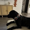 thumbnail image 4 of Collar para perro, elegante tartán navideño con forma de cola pequeña y lazo, talla XS, 4 of 7