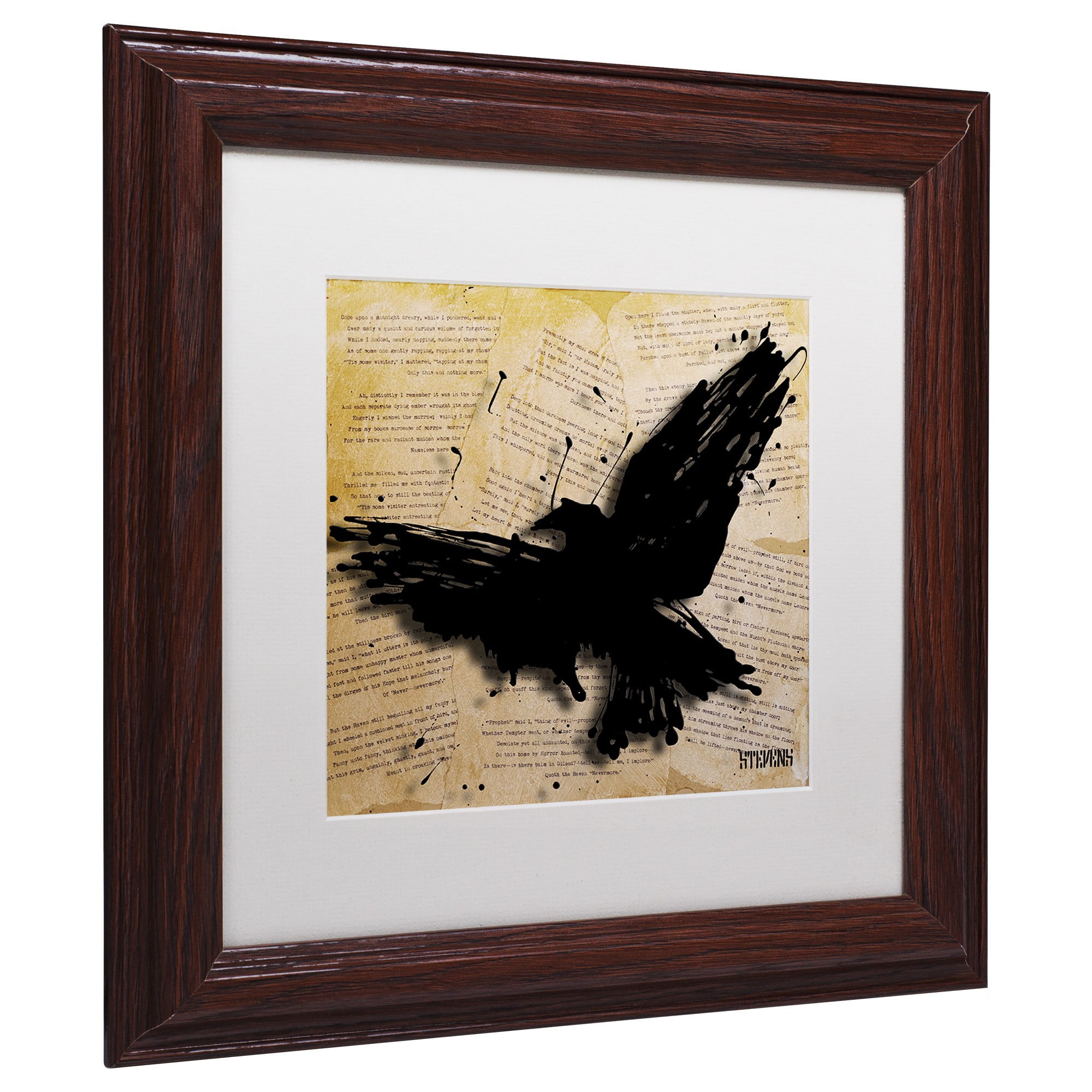 Trademark Fine Art "The Raven 2" Canvas Art by Roderick Stevens, White Matte, Wood Frame
